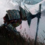 Avatar of player тип продай акк