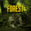 The Forest master-(CZ)