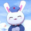 Apol