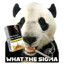 Superpostion Panda