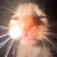 大英警察进职场