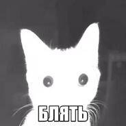 3ca1cce28063af4ef36da5fab14623b54842655d full