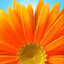 grzelak.rasul@hotmail.com's avatar