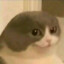 1346892593