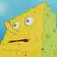 Dry spongebob