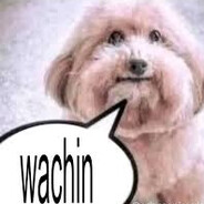 wachin