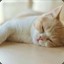 zzzzzhen