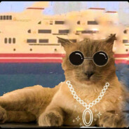 MihaiBRL CSGOSKINS CS.PRO