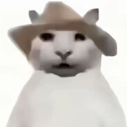 A爱吃肘子派的一猫人