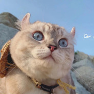 fan取名是个坏文明