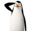 KOWALSKI