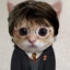 Harry Miau