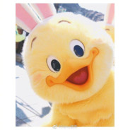 如果我们不曾相遇