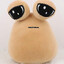 POU (Nuisance)