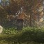 Steen_Stone