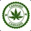 Cannabis