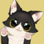 Kiwi Cat