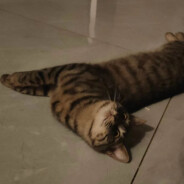 我工程一次只搬一块煤