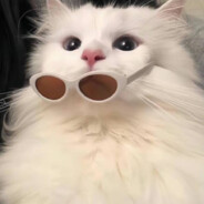 可爱又迷人的反派角色