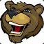 Mr.Grizzly
