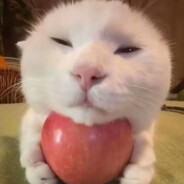 电瓶车被偷的那一天