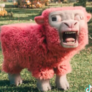 𝕳𝖆𝖋𝖙 - steam id 76561199525497630