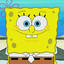 Sponge Bob