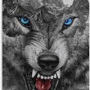 ALONE WOLF