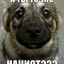 Kufixxxxxxxxxxxxx