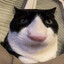 Gaben