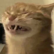 半夜不睡觉看书