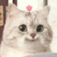 小镇镇长·带包干拉