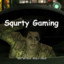 Squrty Gaming