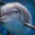 imadolphin