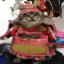 SamuraiCat