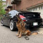 NIKI01 - steam id 76561199845754658