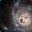 universe DOGE