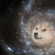 universe DOGE