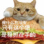 衍衍清风烂