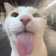 ｇｏｏｎｅｒ亗