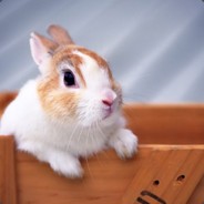 Aurouscia avatar