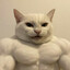 Tommeow*