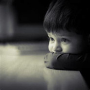 Bilibili.Tigerpurple