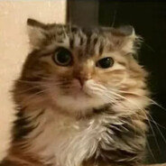 lordkeker31 avatar