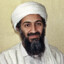 Bin laden