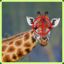 Giraffe_Snipa