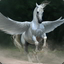 Pegasus