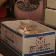 超级无敌霸王龙