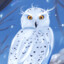 &lt;ACR&gt;[GWP] Clare The Snow Owl