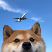 不roll点，看到人就标点